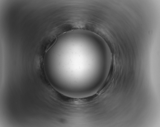 X0000089900229200707051314