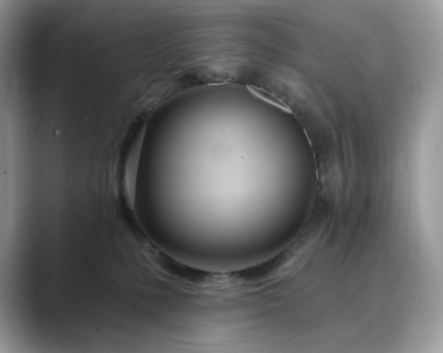 X0000089900231200707051314