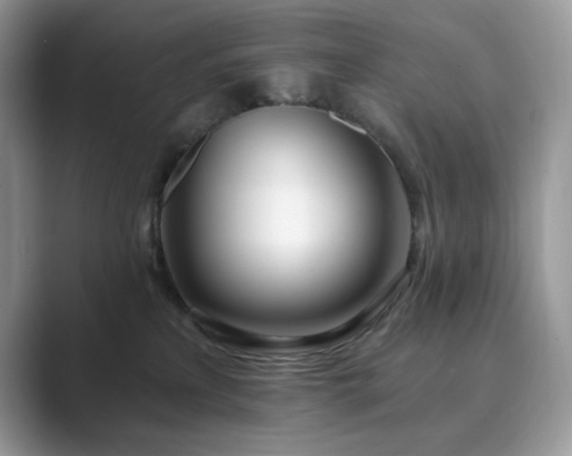 X0000089900233200707051313