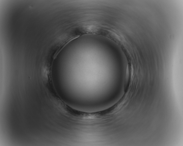 X0000089900235200707051313