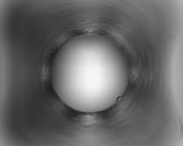 X0000089900236200707051313