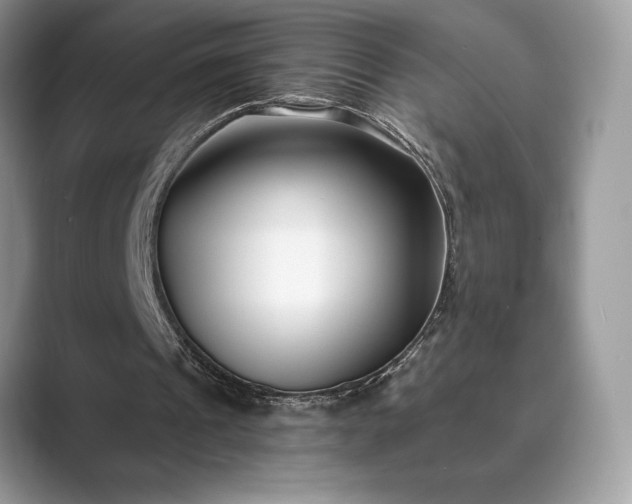 X0000089900241200707051313