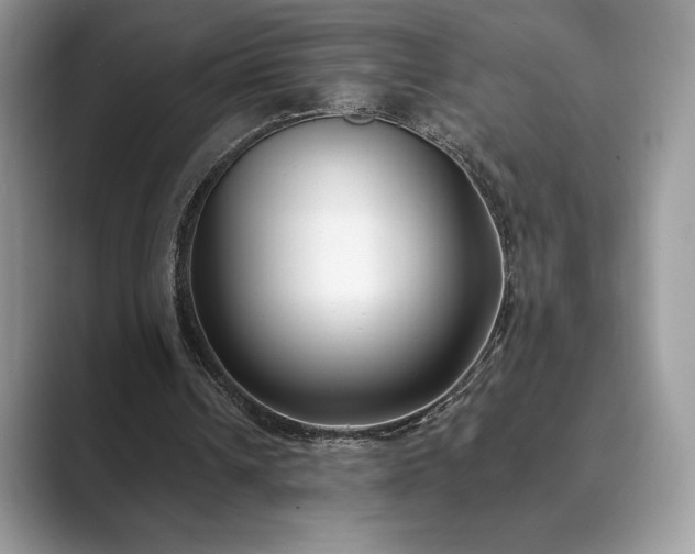 X0000089900242200707051313