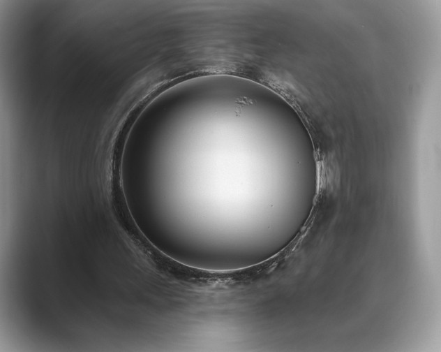 X0000089900243200707051313