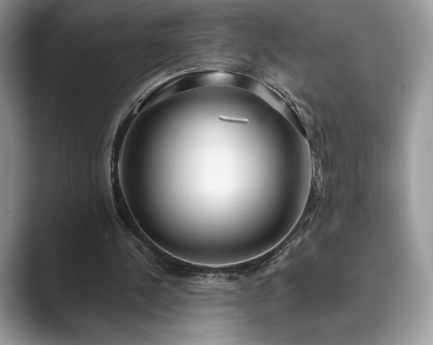 X0000089900244200707051313