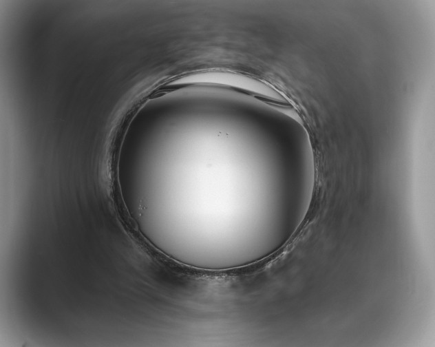 X0000089900245200707051313