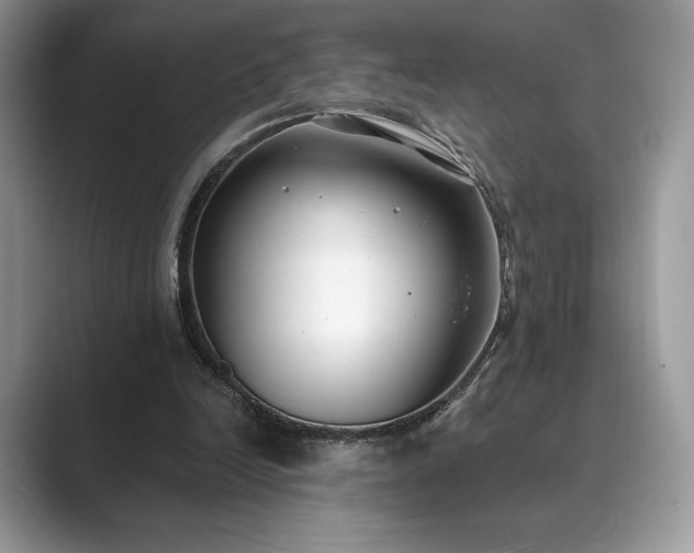 X0000089900246200707051313