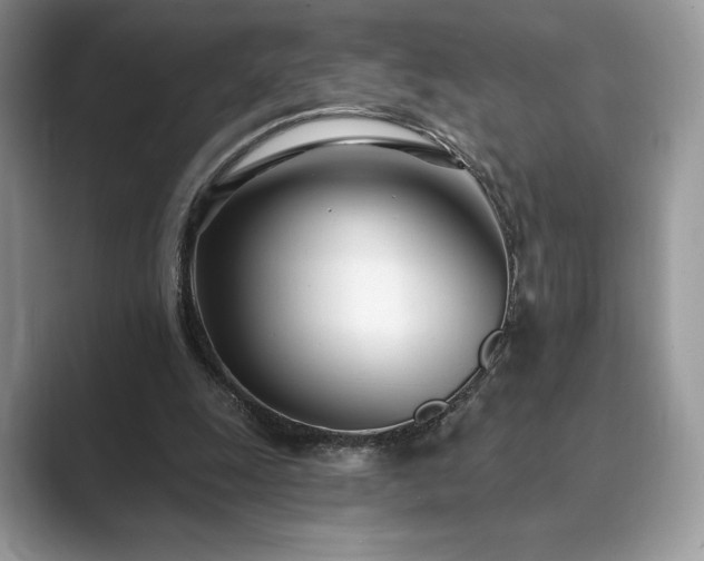 X0000089900247200707051313