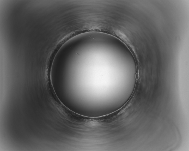 X0000089900249200707051313