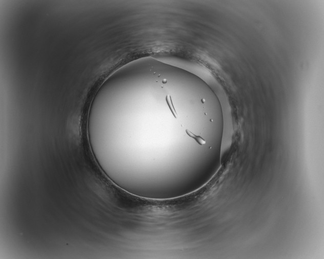 X0000089900250200707051313