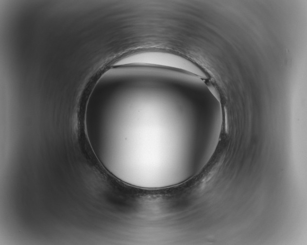 X0000089900252200707051313