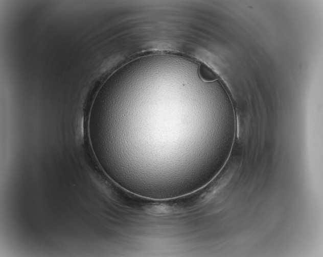 X0000089900253200707051313