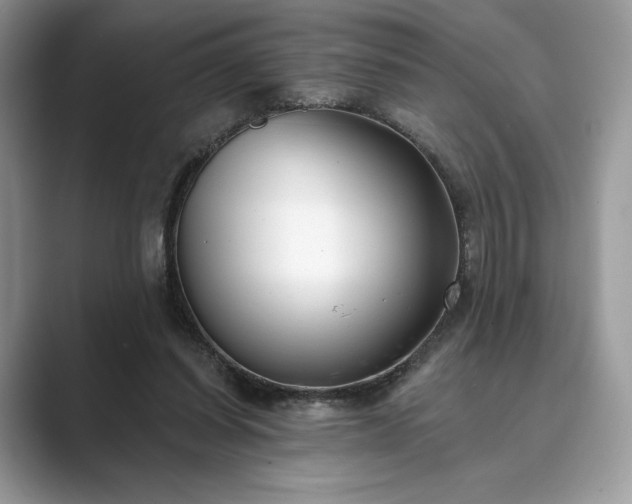 X0000089900254200707051313