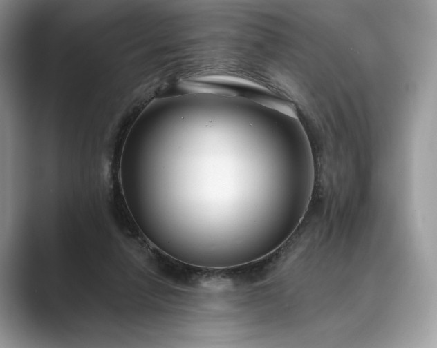 X0000089900258200707051313