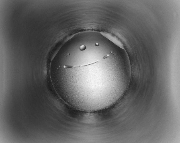 X0000089900261200707051313