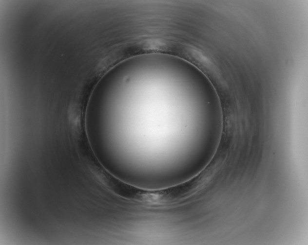 X0000089900265200707051313