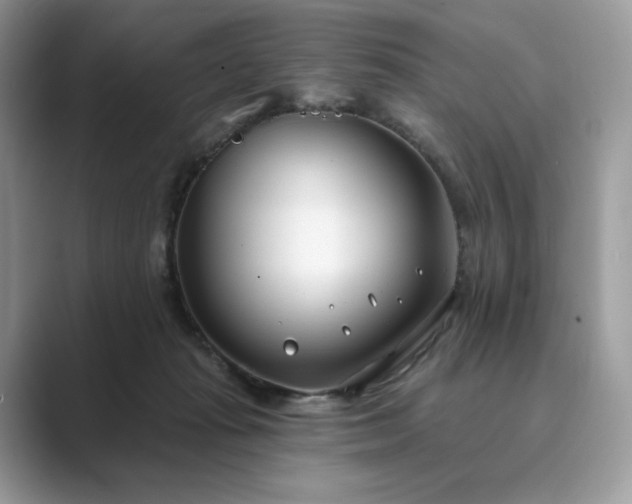 X0000089900269200707051313