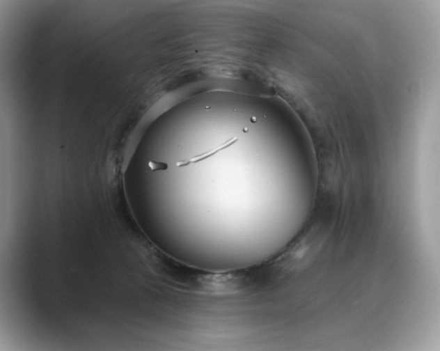X0000089900273200707051313