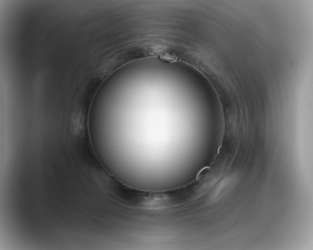 X0000089900274200707051313