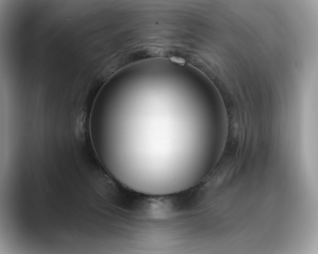 X0000089900275200707051313