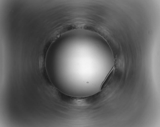 X0000089900283200707051313