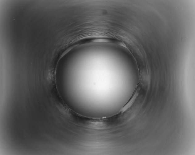 X0000089900284200707051313