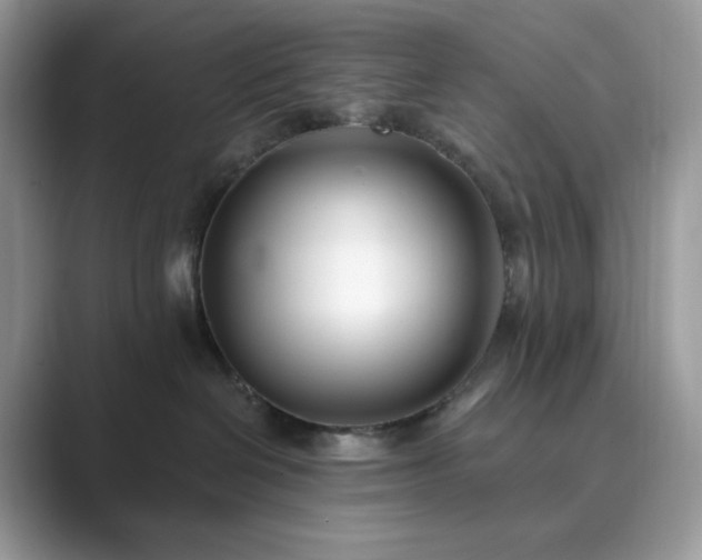 X0000089900286200707051313
