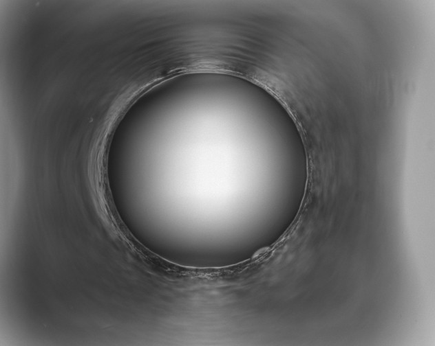 X0000089900289200707051313