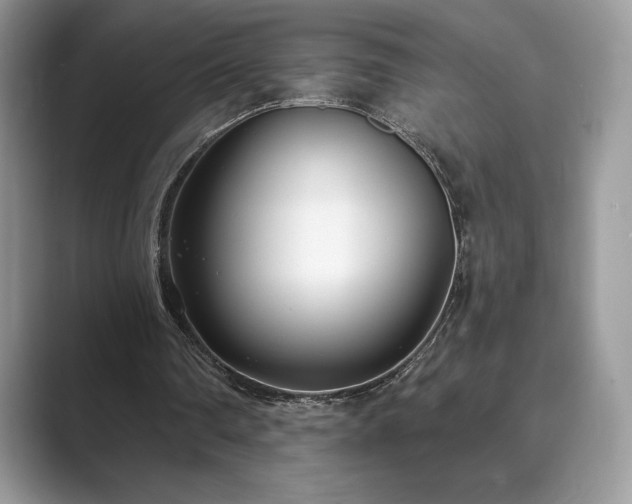 X0000089900290200707051313