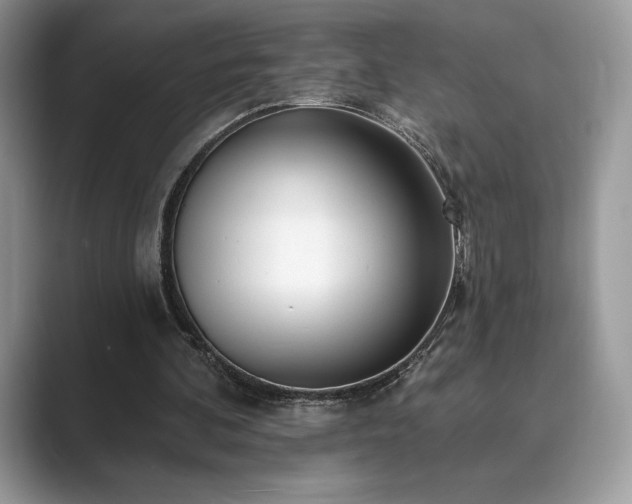 X0000089900292200707051313