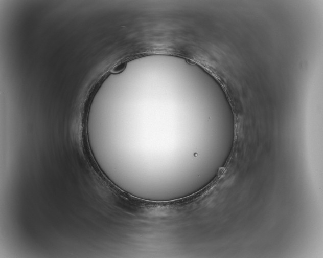 X0000089900293200707051313