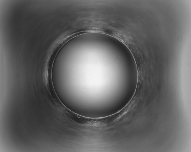 X0000089900294200707051313