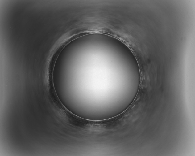 X0000089900296200707051313