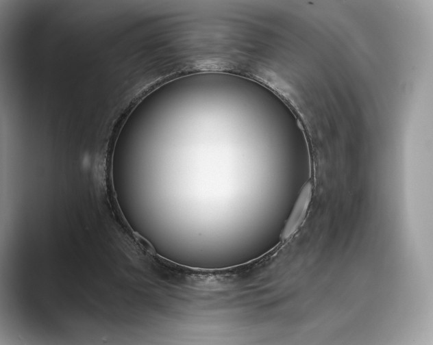 X0000089900297200707051313