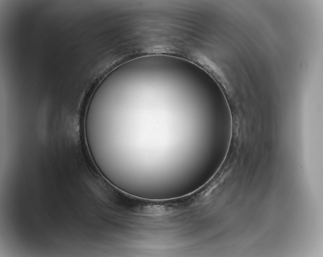 X0000089900298200707051313
