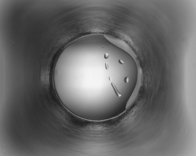 X0000089900299200707051313