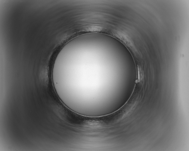 X0000089900300200707051313
