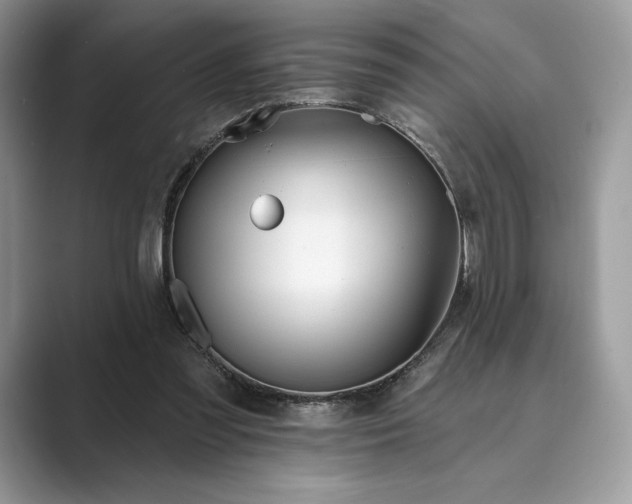 X0000089900301200707051313