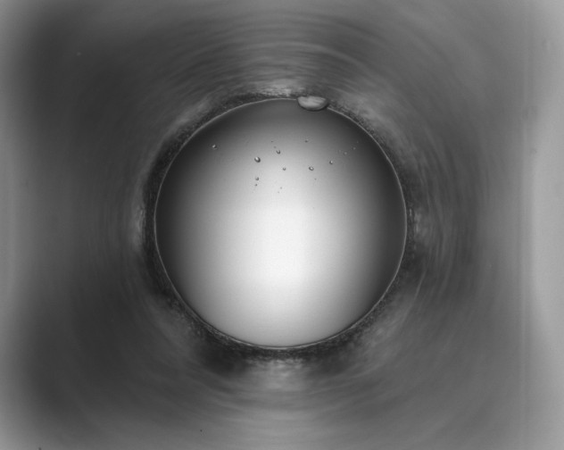 X0000089900304200707051313