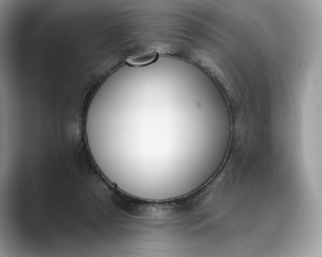 X0000089900305200707051313