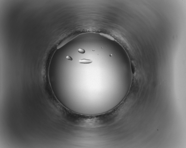 X0000089900306200707051313