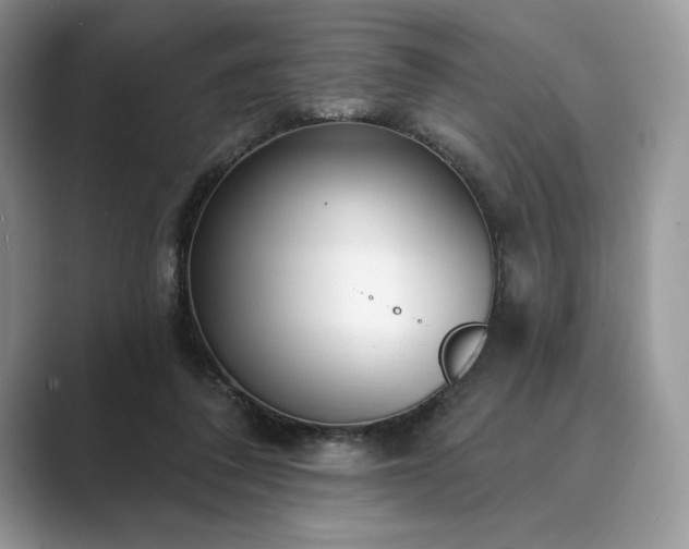 X0000089900308200707051313