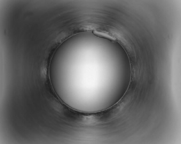 X0000089900309200707051313