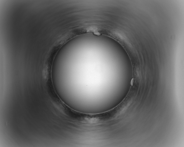 X0000089900311200707051313