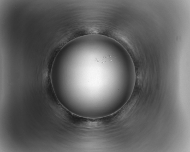 X0000089900314200707051313