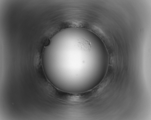 X0000089900318200707051312