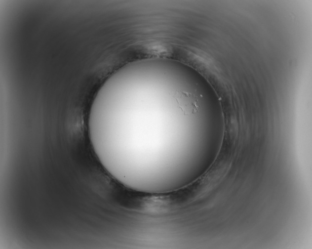 X0000089900320200707051312