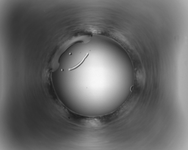 X0000089900322200707051312