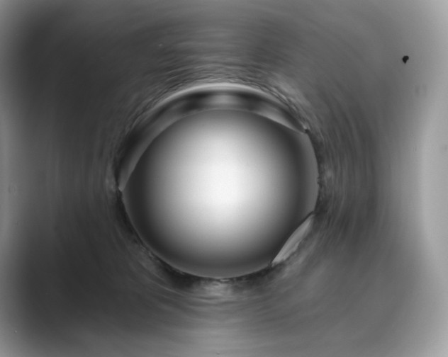 X0000089900325200707051312