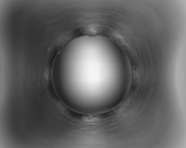 X0000089900331200707051312